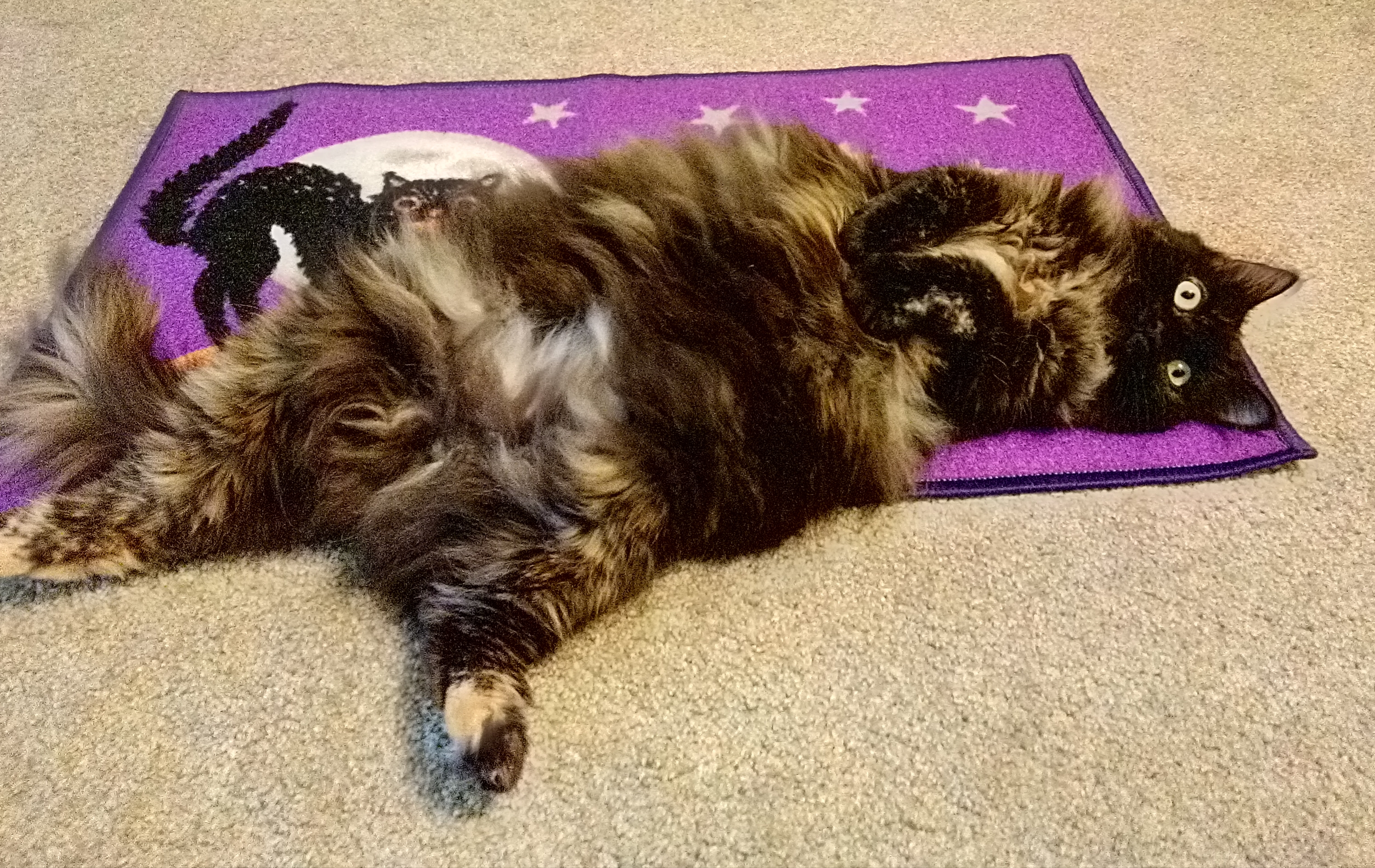 MariposaTummyHalloween2020